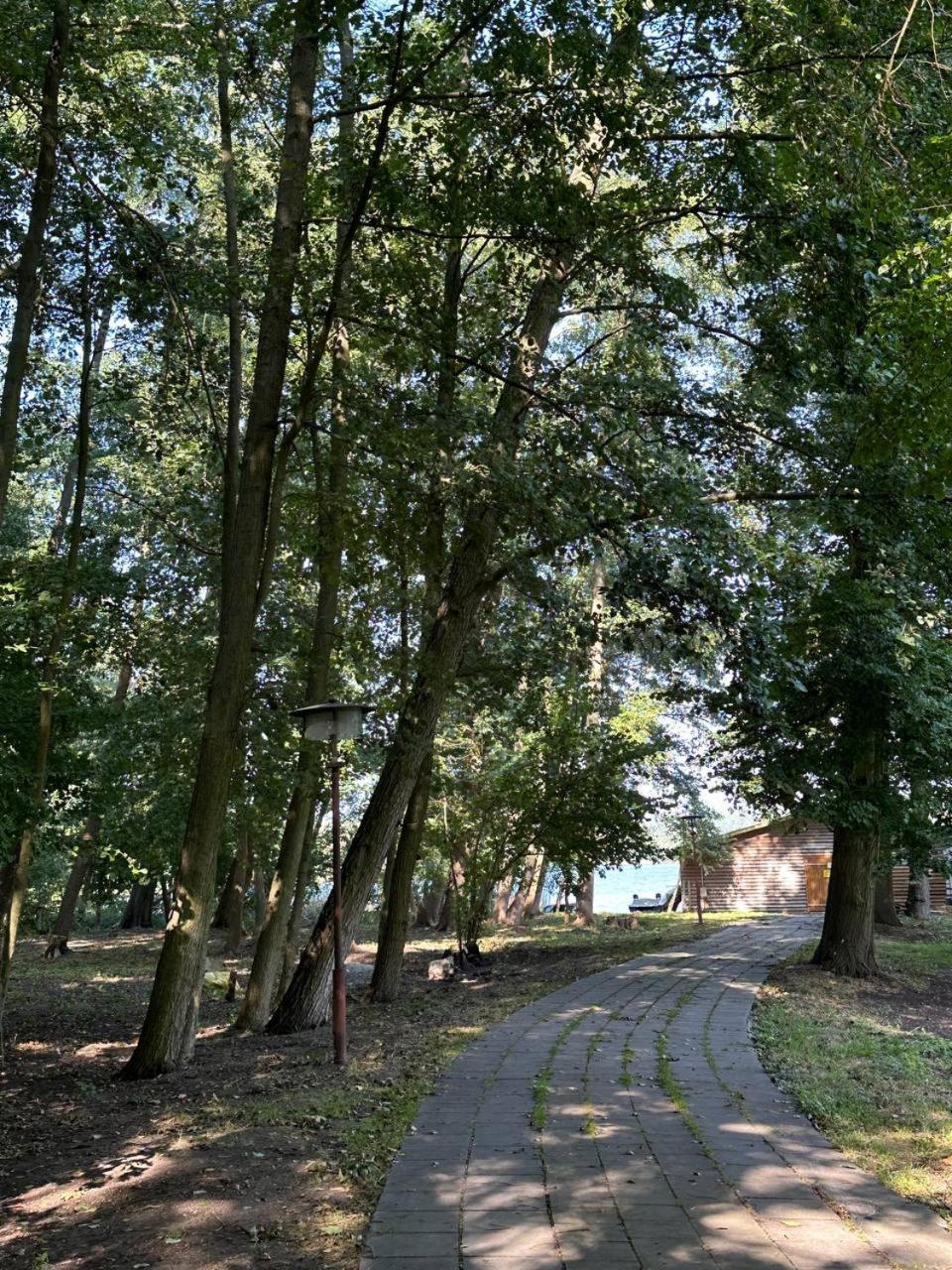 Paradiesufer Am Milmersdorf